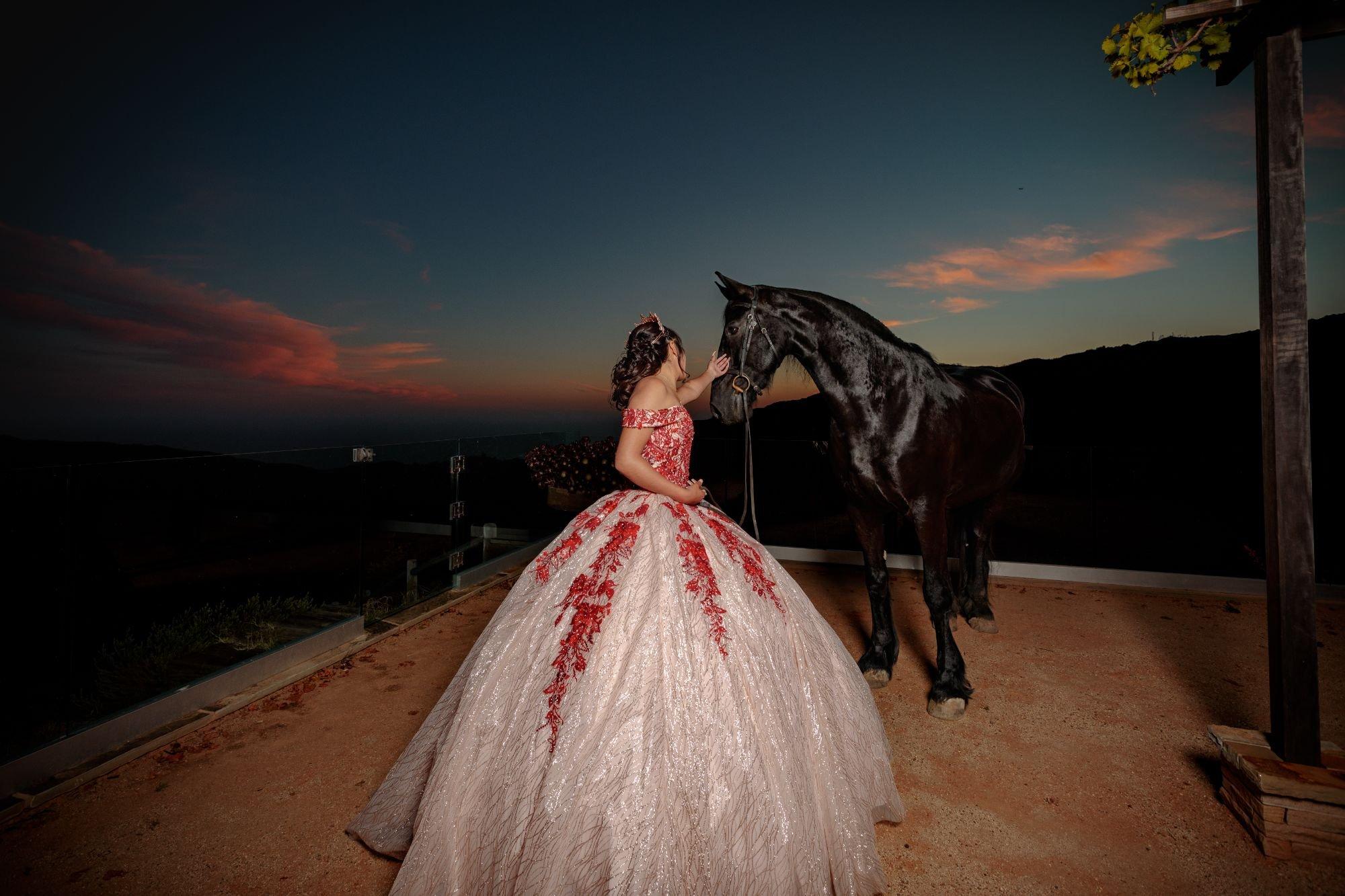 carousel-hero-element image-0